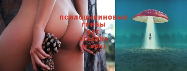 гашик Армянск