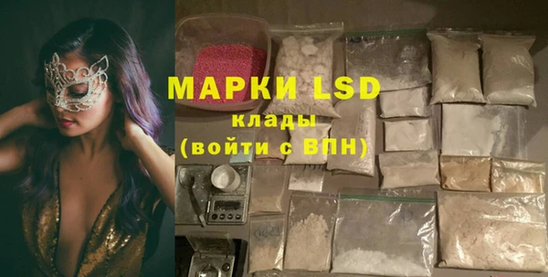 стафф Аркадак