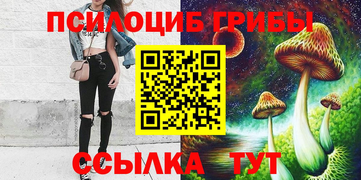 Дедовск  Галлюциногенные грибы Cubensis  Вход с VPN 