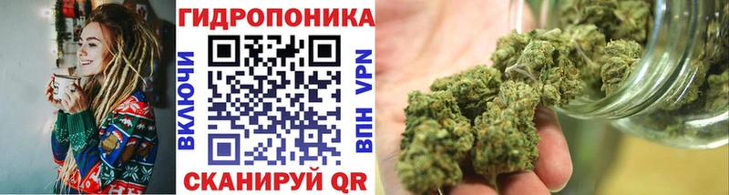 где купить наркотик мега маркетплейс Каннабис OG Kush Дедовск